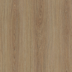 NF66 Smooth oaky oak .122cm hladk dubov drevo