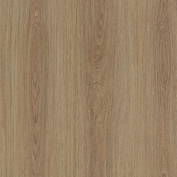 NF66 Smooth oaky oak .122cm hladk dubov drevo